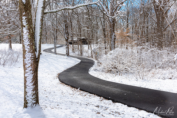 A Winter Walk in the Park (2019)