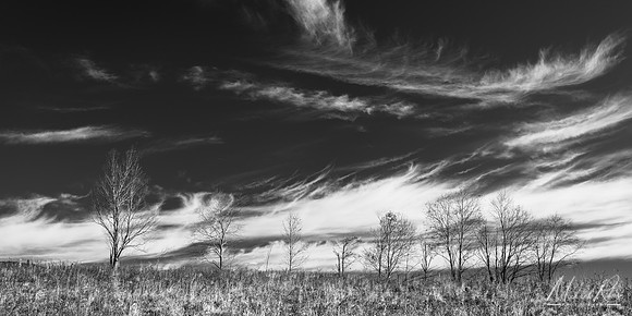 Wispy Clouds (2018)