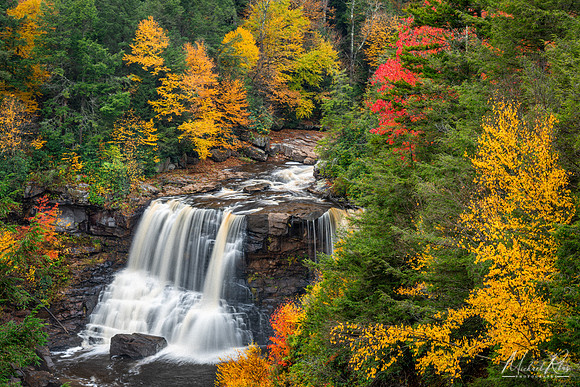 Blackwater Falls in Autumn (2023)