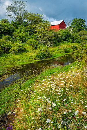 Canaan Valley Barn in Summer  (2023)