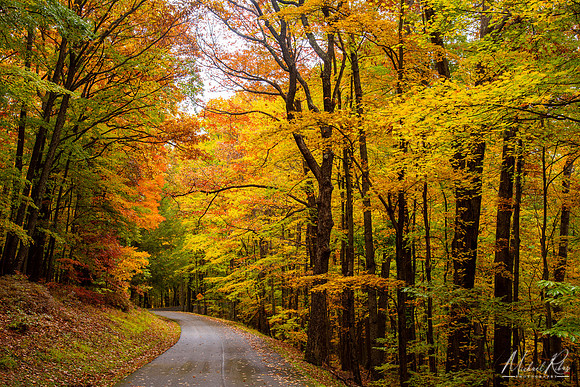 Babcock State Park (2022)