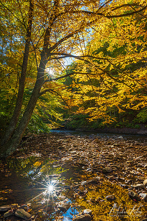 Autumn Foliage on Cherry River (2022)