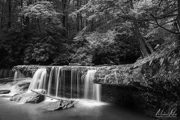 Marsh Fork Falls (2022)