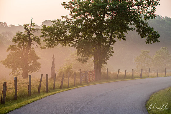 Country Road (2023)