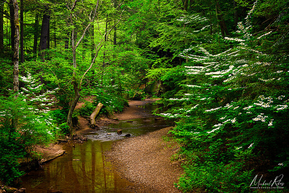 Old Man's Cave Gorge in Spring (2023)