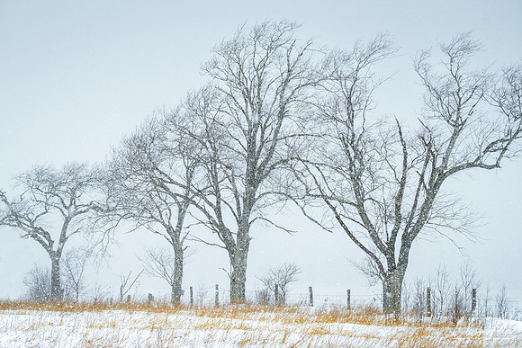 Canaan Winter Storm 2023)