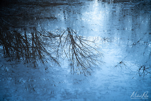 Winter Reflections (2023)