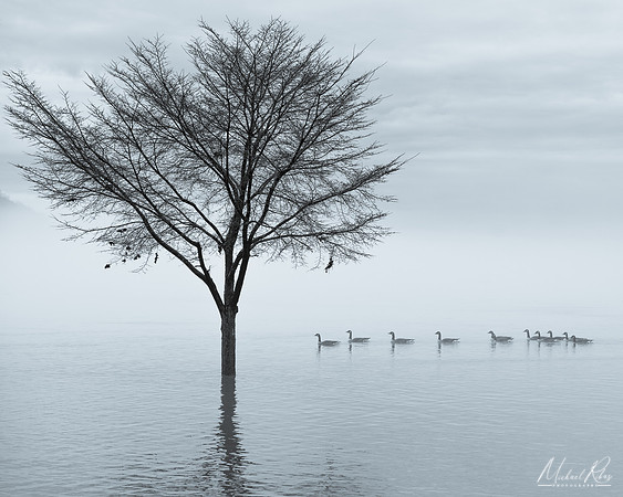 Leaders and Followers (2023)