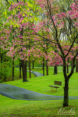 McDonough Park in Spring (2023)