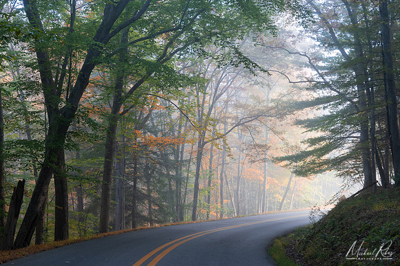 Autumn Morning Fog Near North Bend (2022)