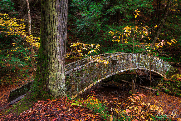 Stone Bridge (2020)