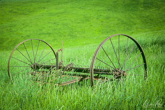 Old Farm Rake