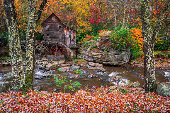 Babcock State Park (2016)