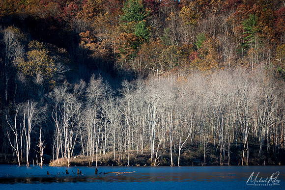 Late Afternoon Light at North Bend Lake  (2016)