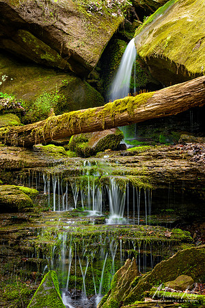 "Rain Forest" Waterfall  (2017)