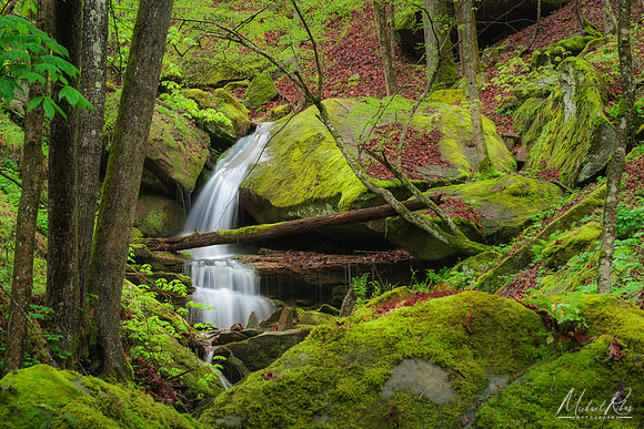 North Bend Waterfalls (2018)