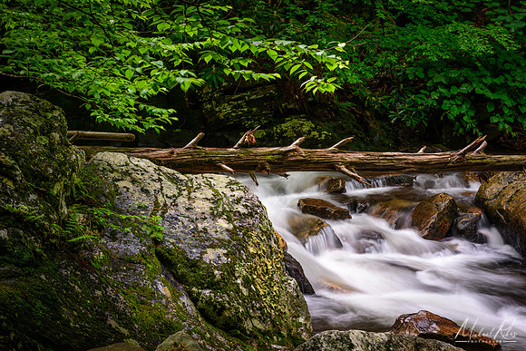 Little Stony Creek, Va (2018)