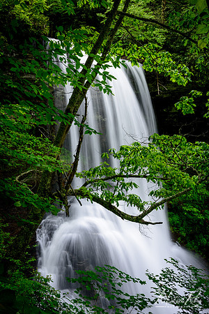 Cascade Falls (2018)