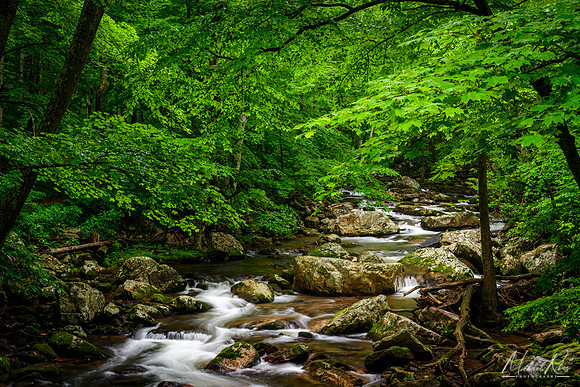 Little Stony Creek (2018)