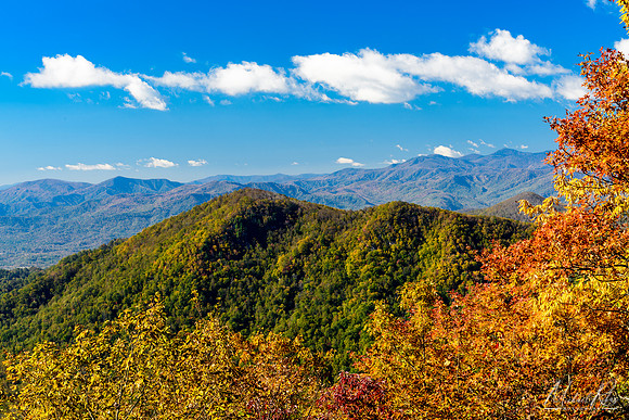 Blue Ridge Mountains in Fall (2018)