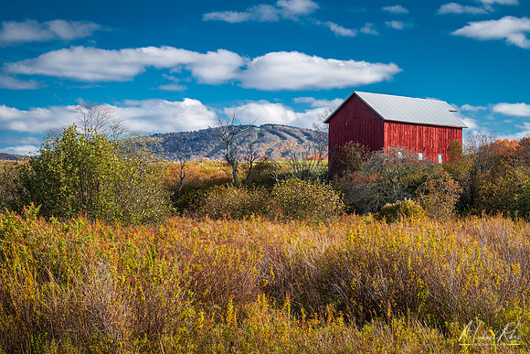 Canaan Valley Barn (2023)