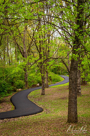 Spring Walkway (2019)