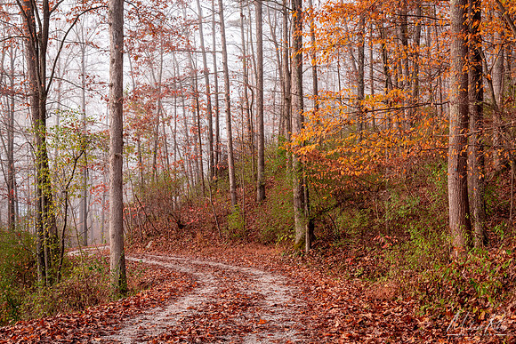November Backroad (2019)