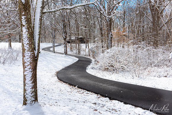 A Winter Walk in the Park (2019)
