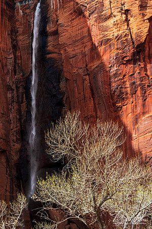 Zion Spring Waterfall (2019)