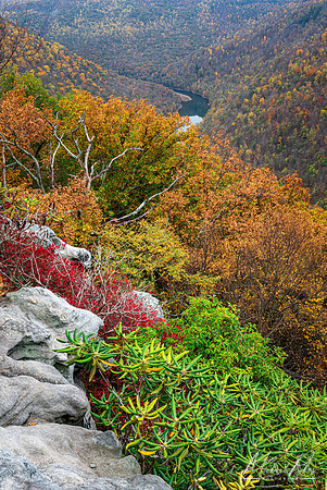 Cheat River Canyon (2020)