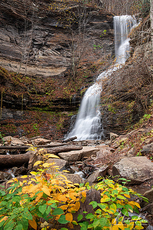 Cathedral Falls (2020)