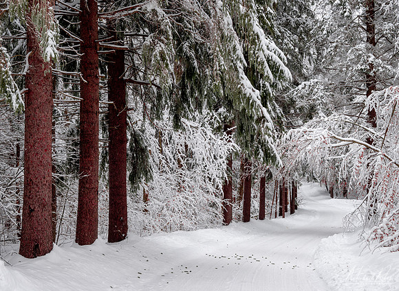 Canaan Mountain Road in Winter  (2021)