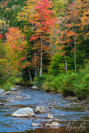 Gandy Creek (2021)