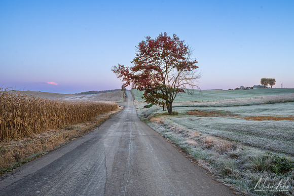 Ohio Morning (2021)