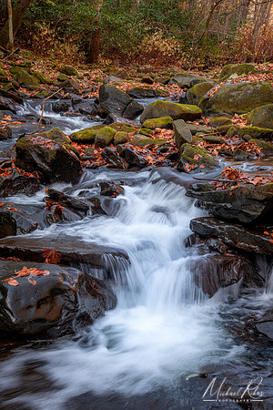Dunlop Creek (2021)