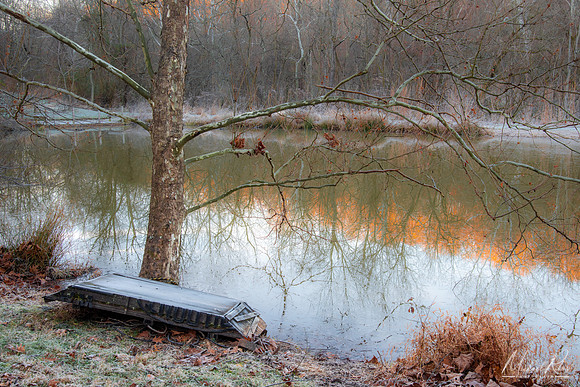 Small Pond (2021)