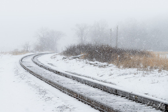 Snowstorm (2022)
