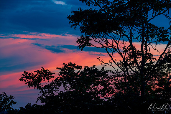 Summer Siunset Colors (2022)
