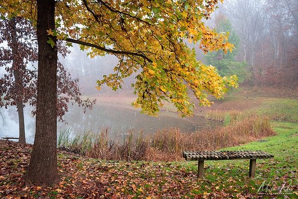 Betsy Lake (2022)
