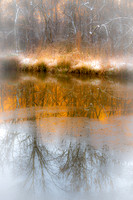 Winter Reflections (2022)