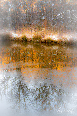 Winter Reflections (2022)