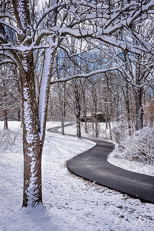 McDonough Walkway (2019)