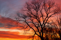 December Morning Skies (2024)