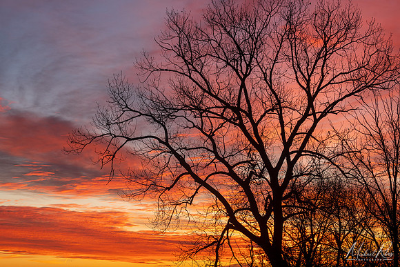 December Morning Skies (2024)