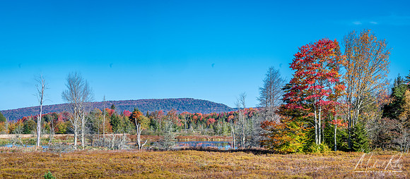 Canaan Valley (2021)