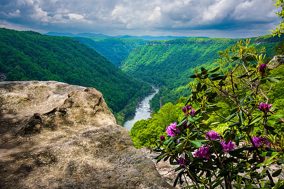 New River Gorge in Spring (2023)