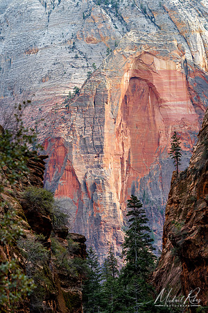 Refrigerator Canyon at Zion NP (2019)