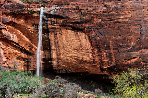 Spring Waterfall at Zion NP (2019)