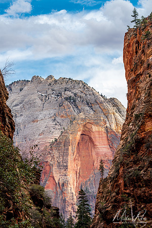 Refrigerator Canyon at Zion NP (2019)