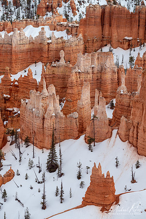 Bryce NP Hoodoos in Snow (2019)